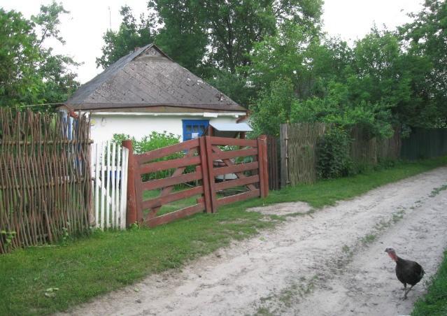 Kалиновий Kущ Dmitrenki Eksteriør billede